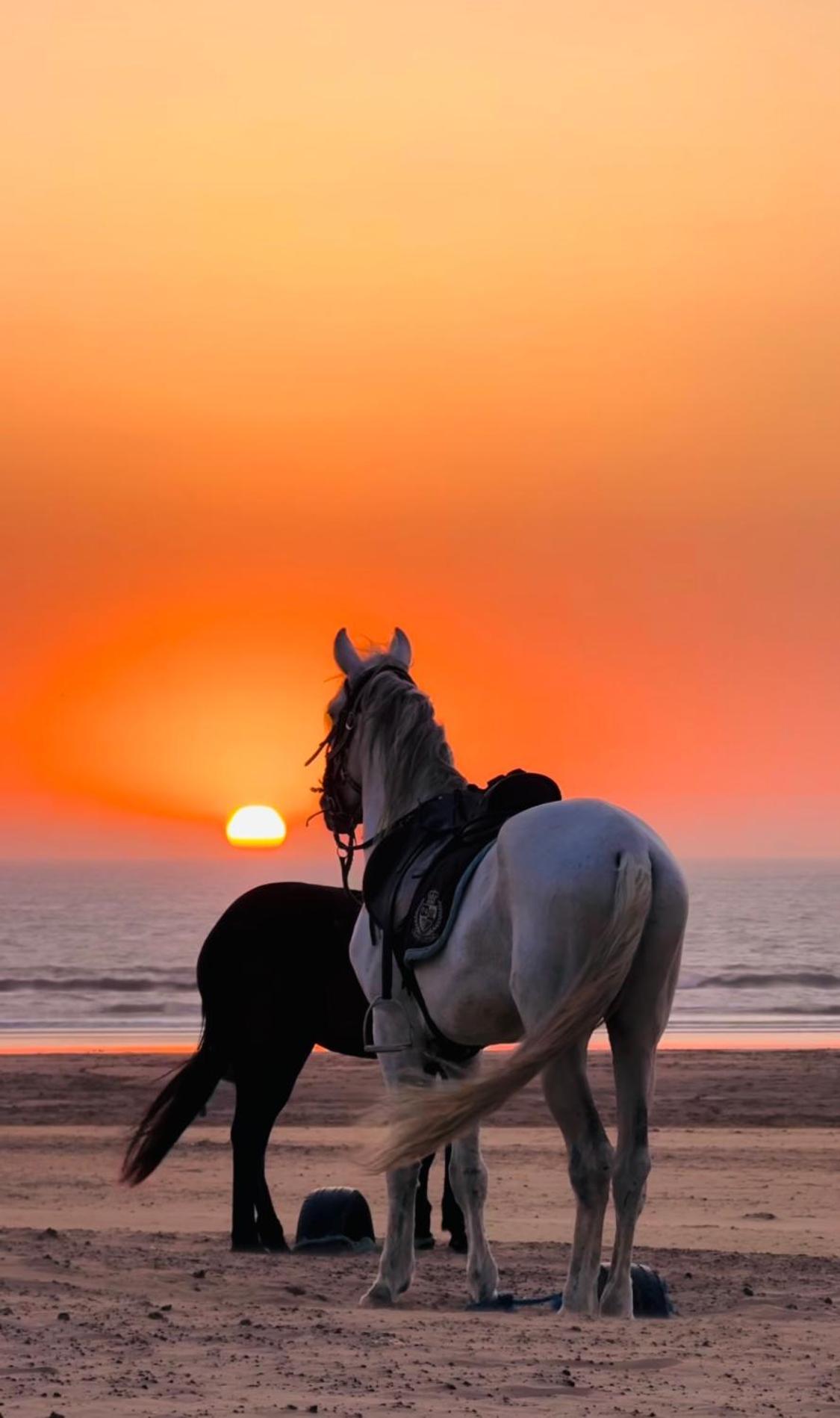 Villa Sunset Moulay Bouzerktoun